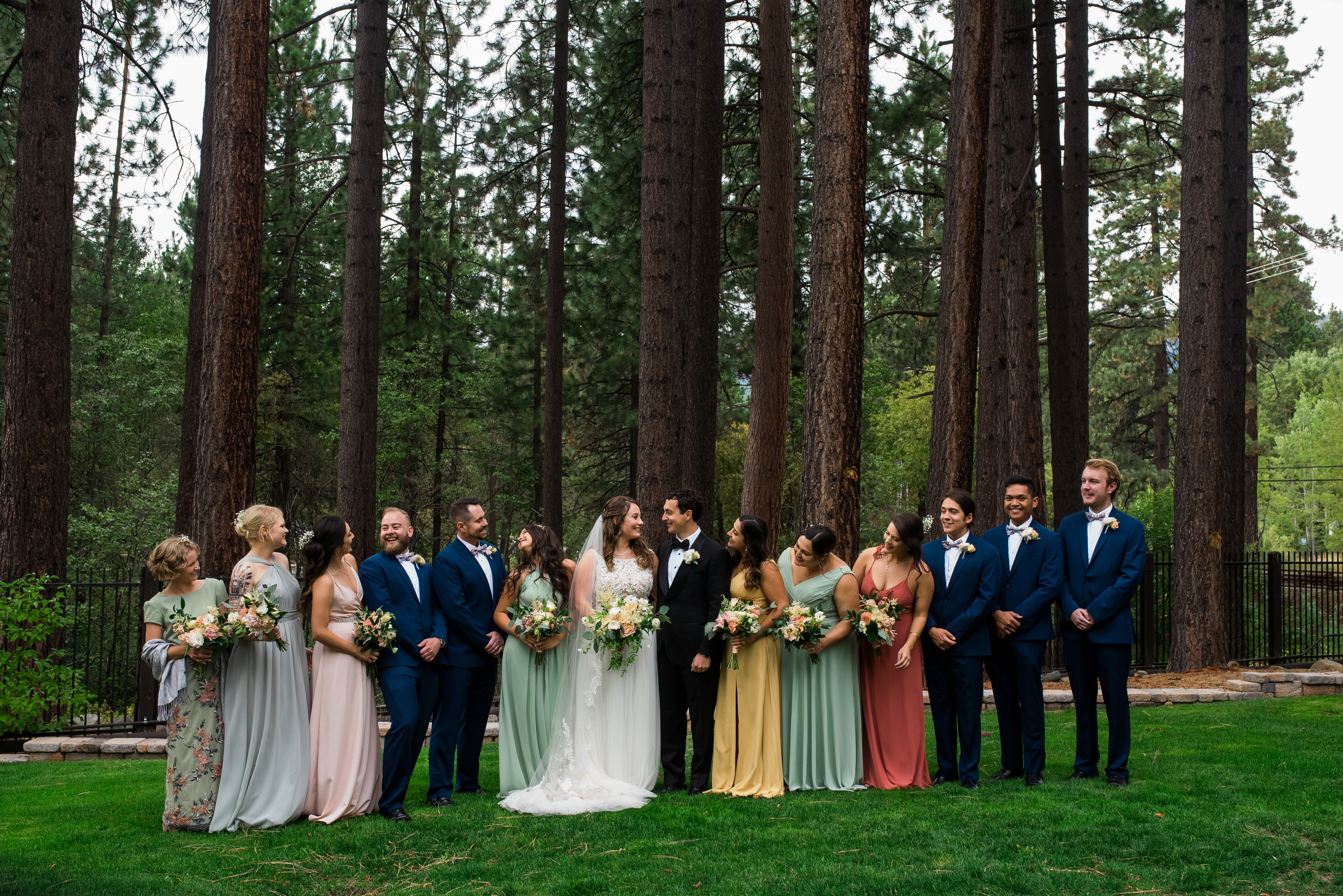 ashleetroy-laurenlindley