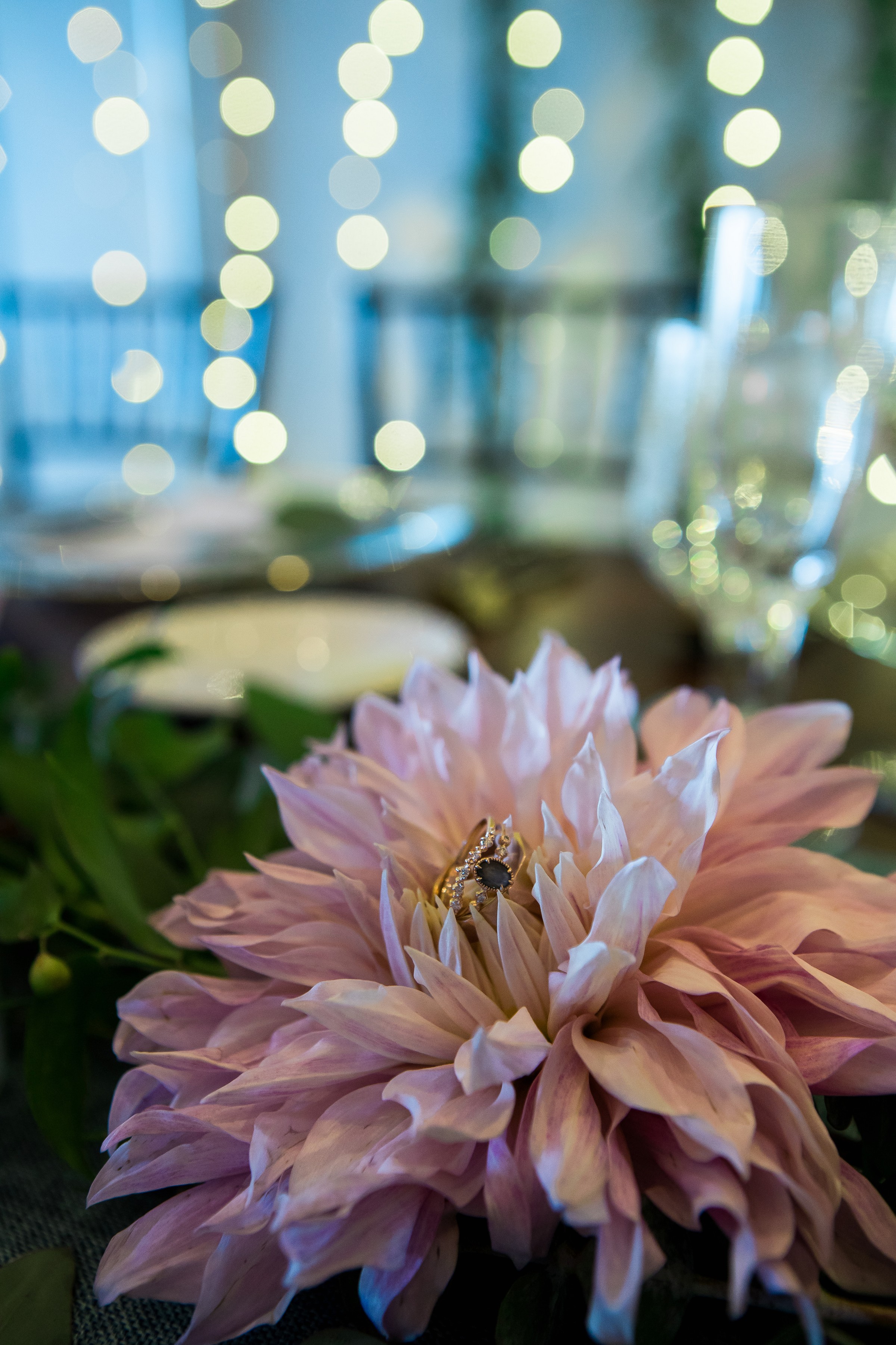 ashleetroy-laurenlindley