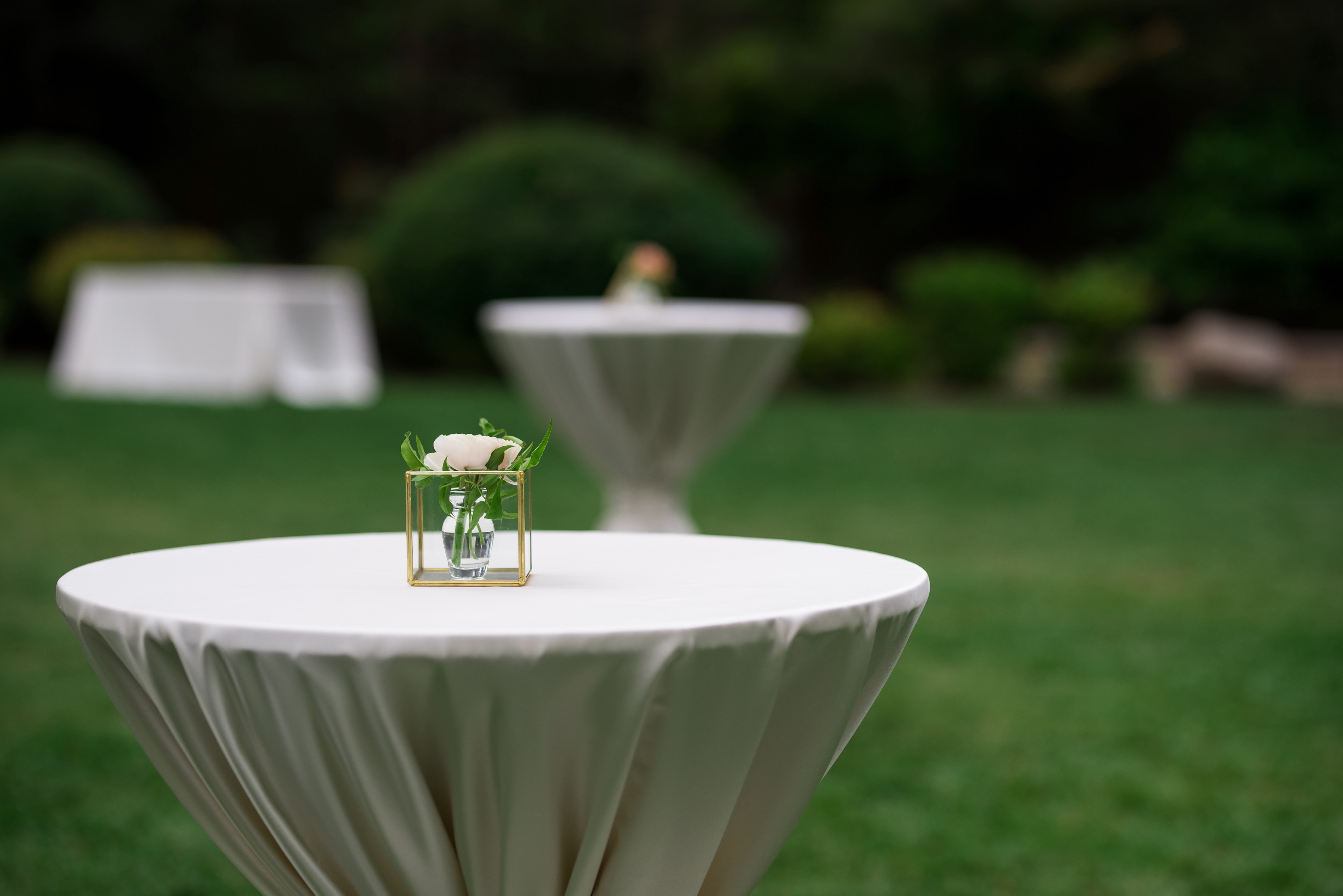 ashleetroy-laurenlindley