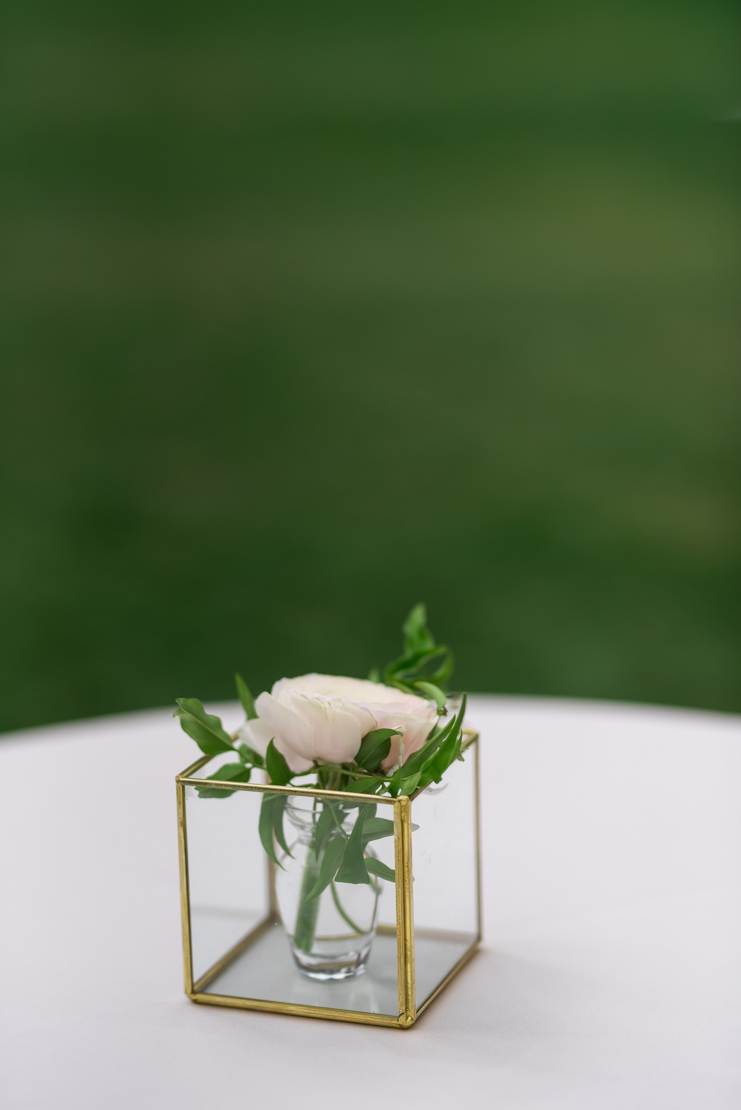 ashleetroy-laurenlindley