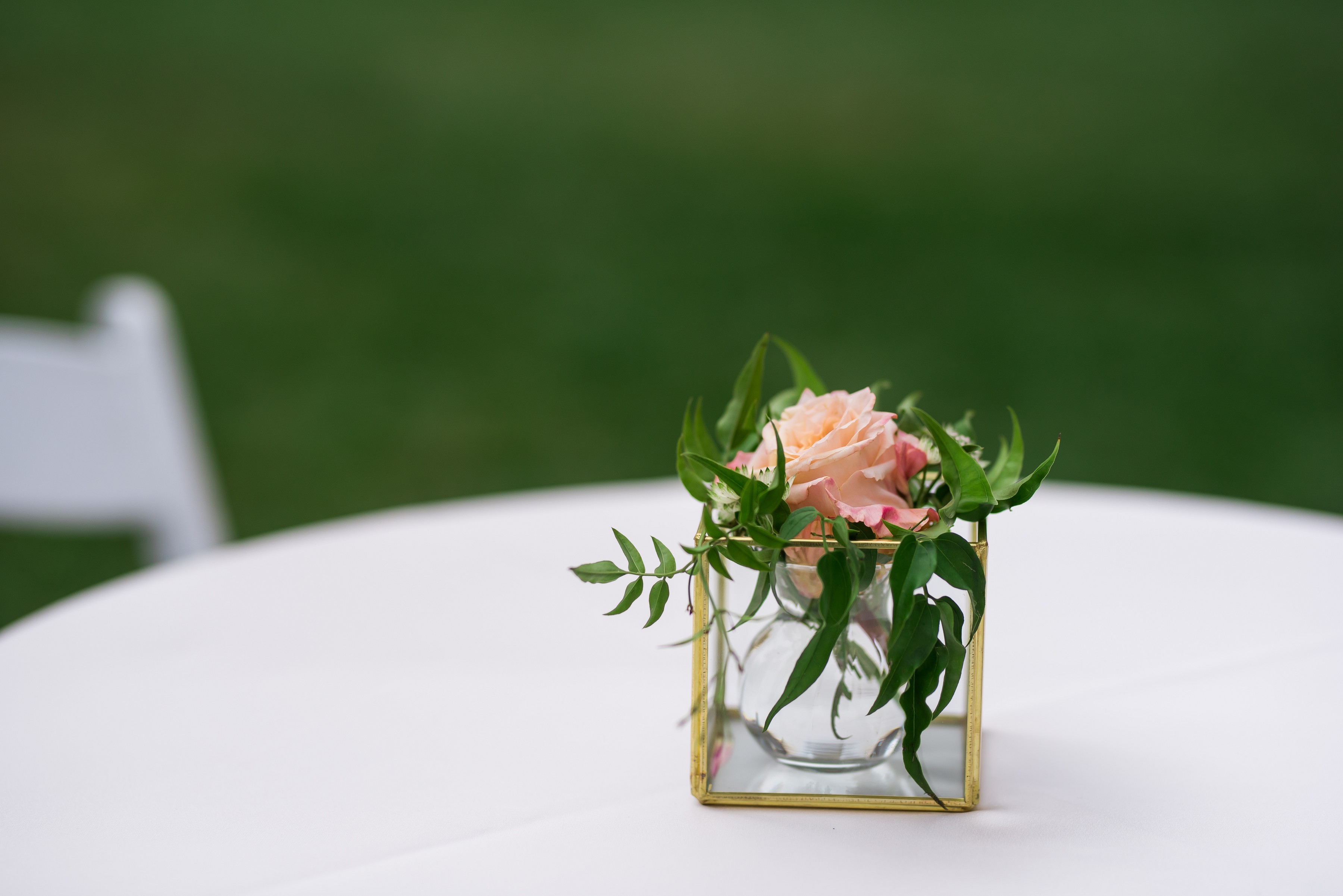 ashleetroy-laurenlindley