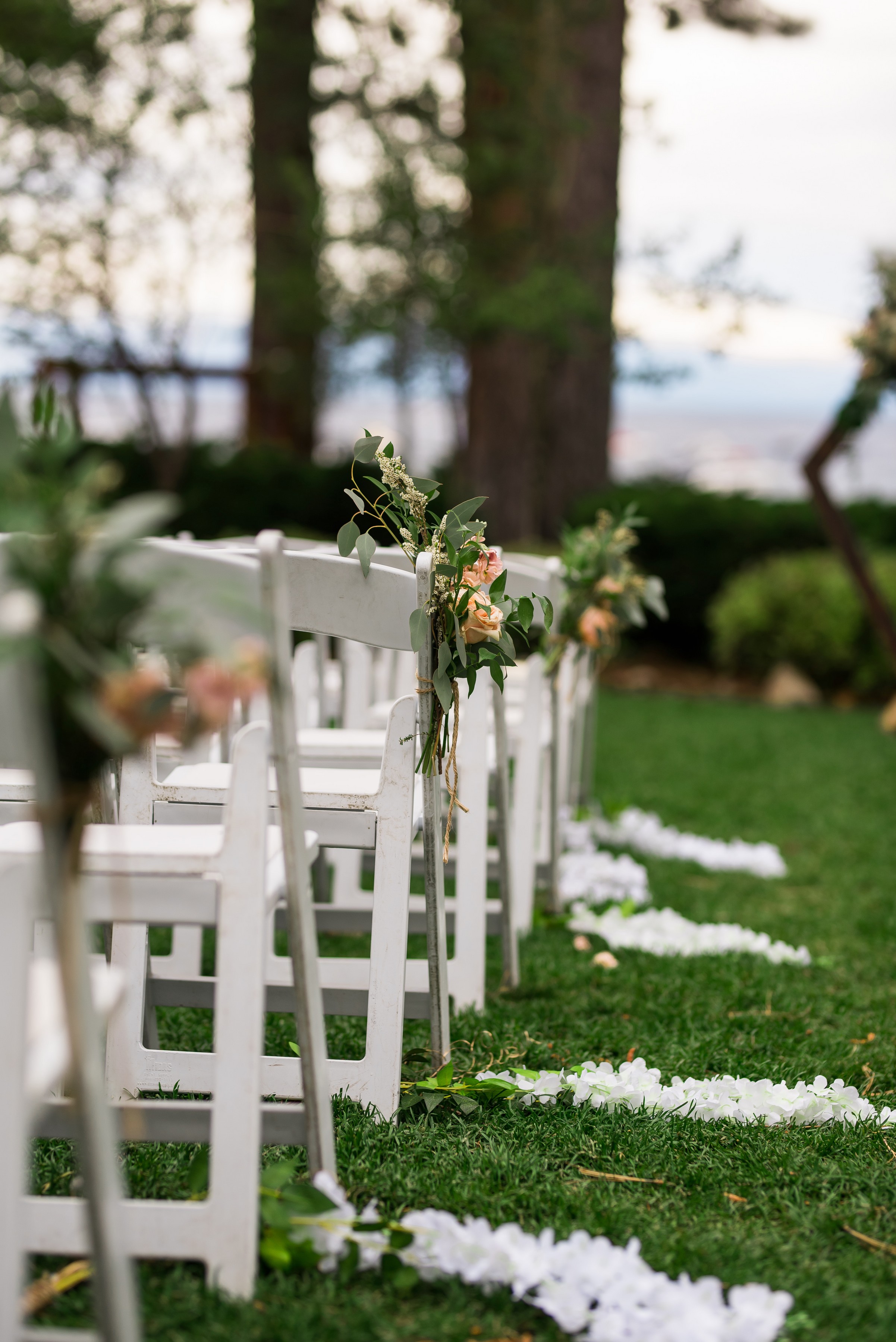 ashleetroy-laurenlindley