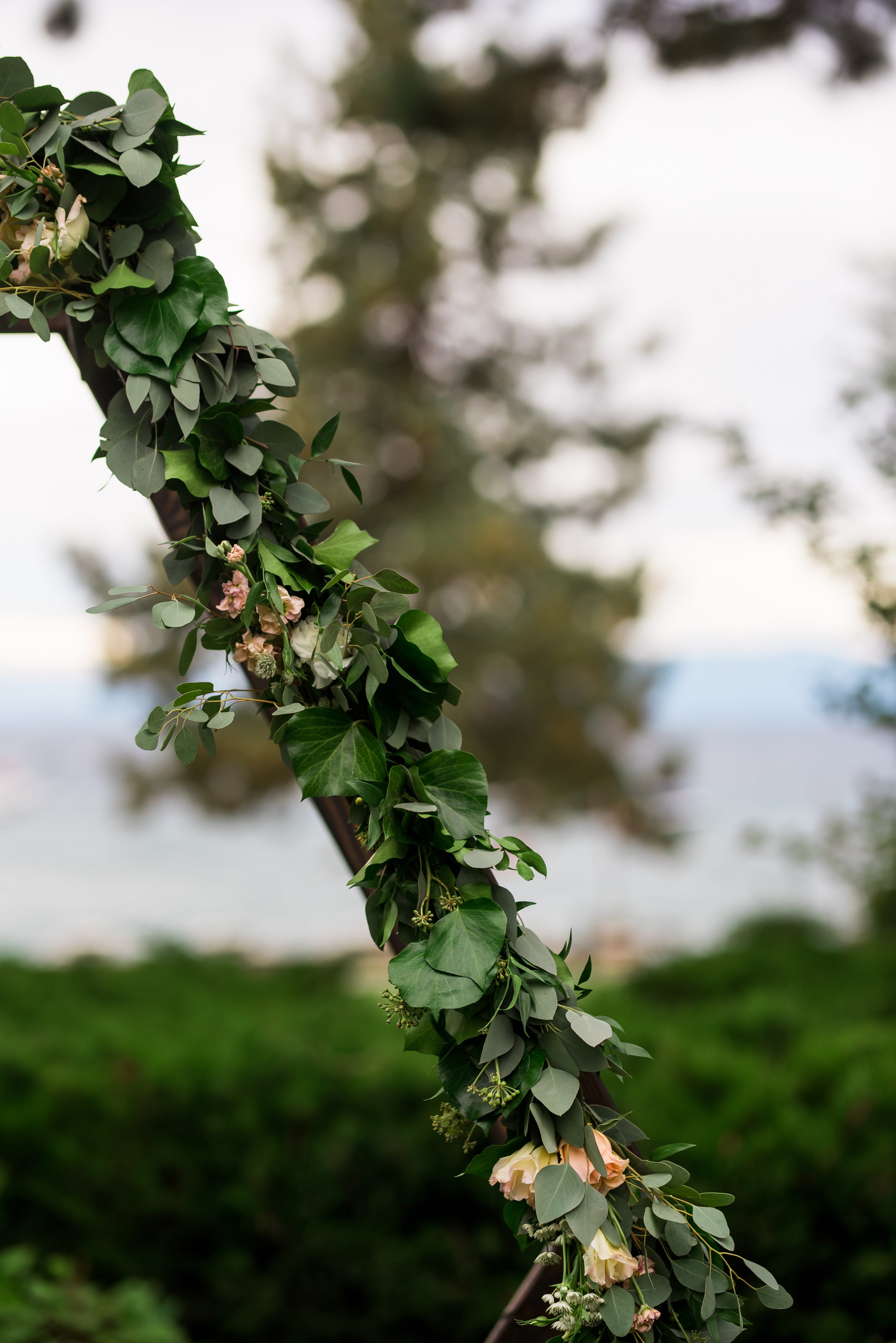 ashleetroy-laurenlindley