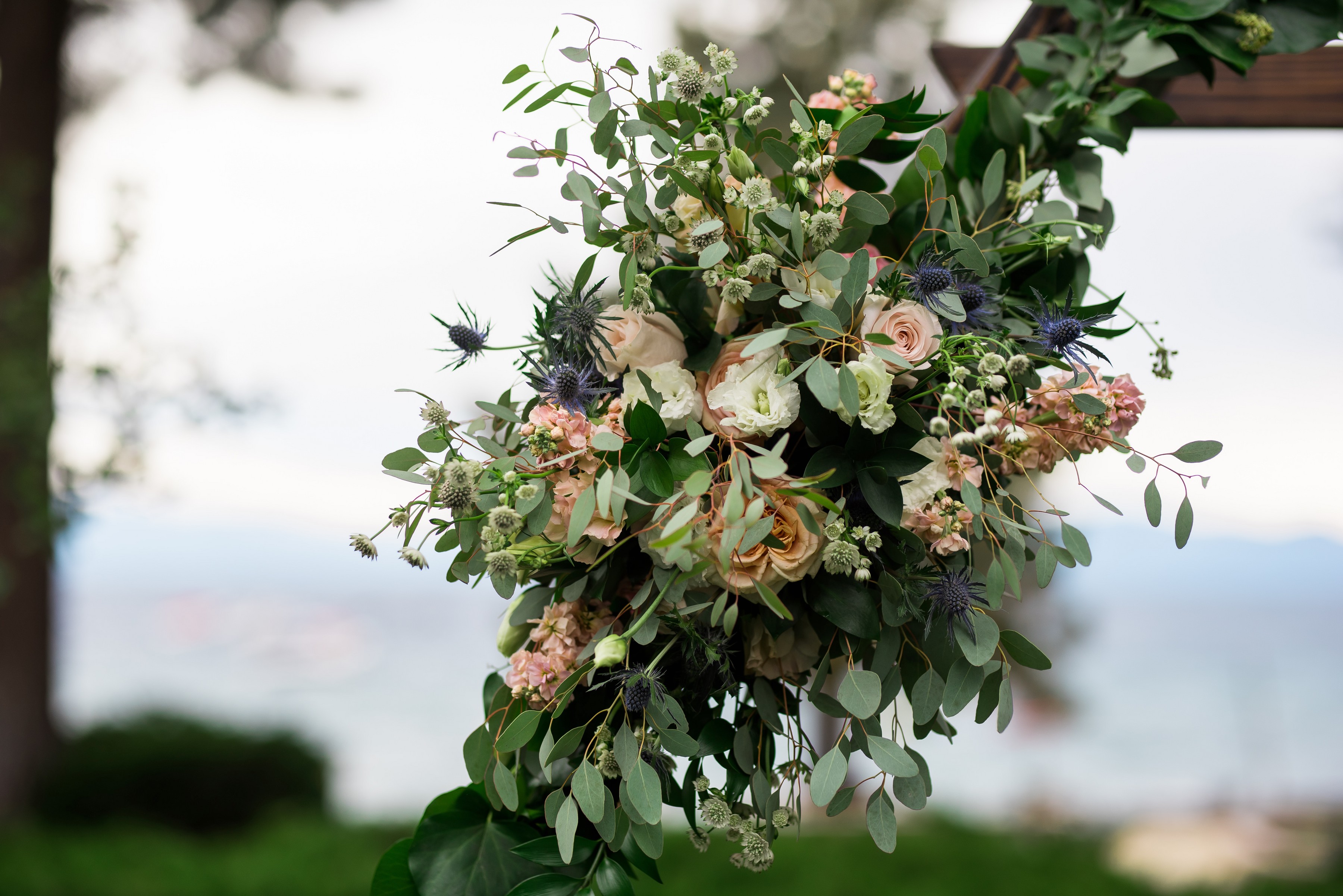 ashleetroy-laurenlindley