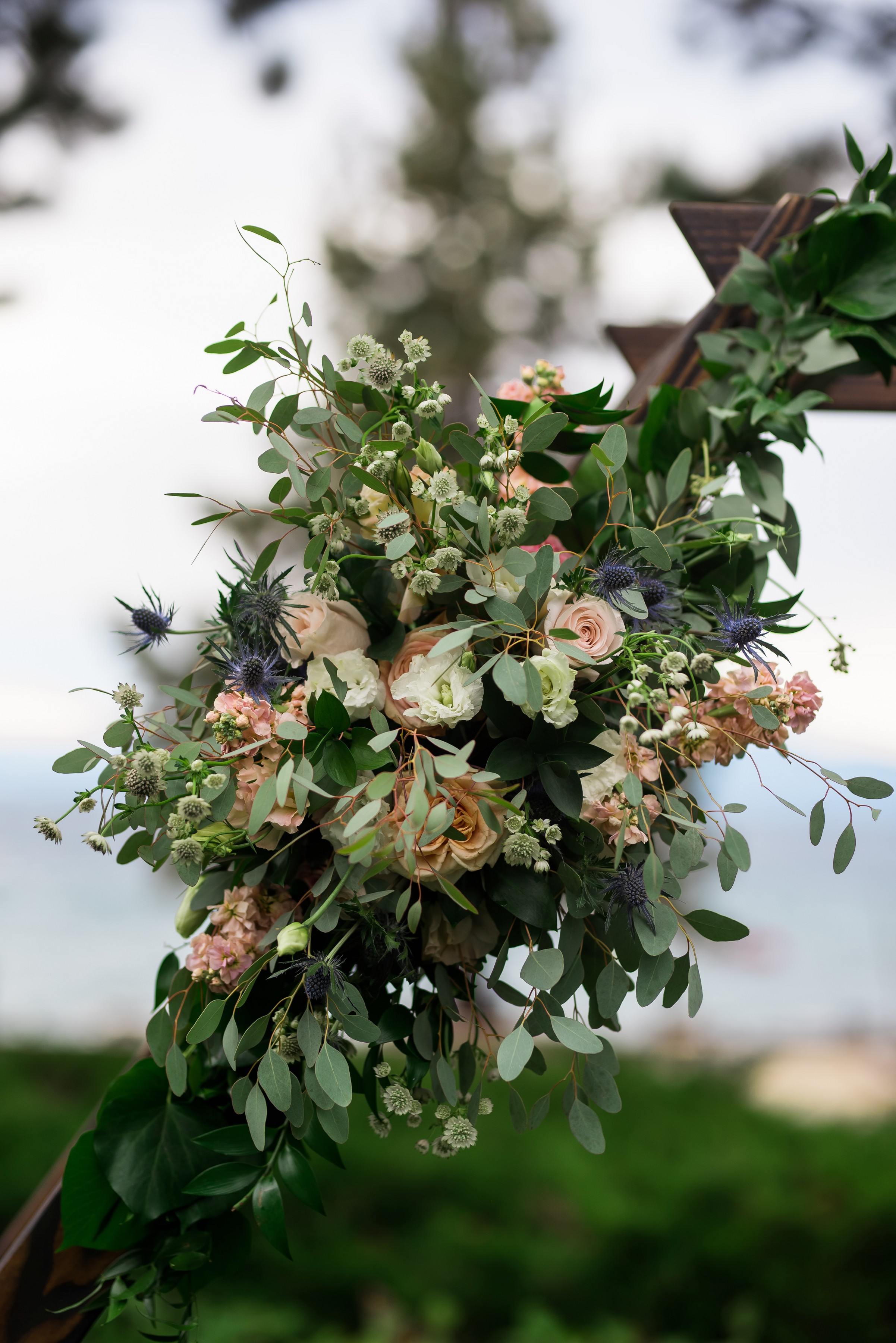 ashleetroy-laurenlindley