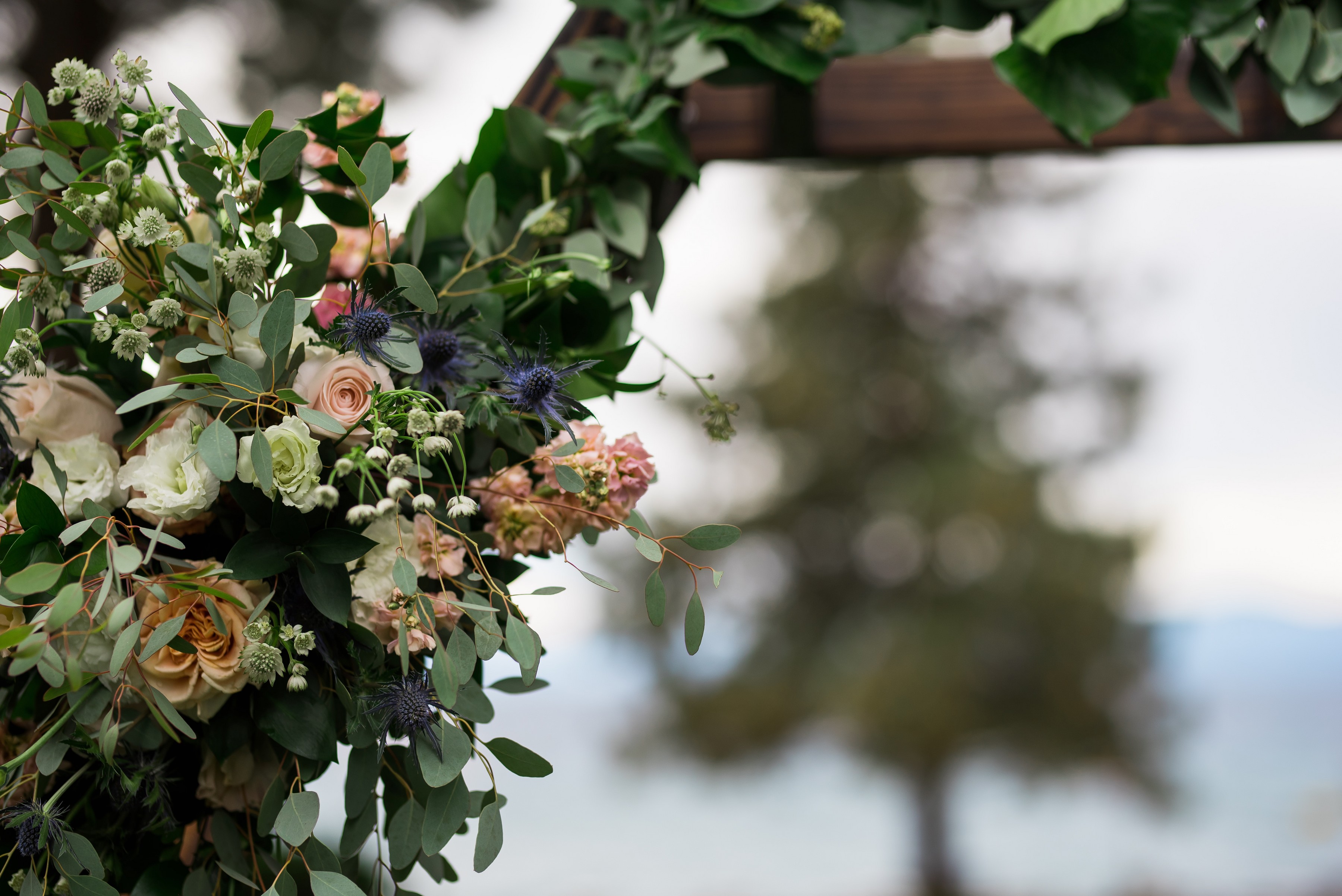 ashleetroy-laurenlindley