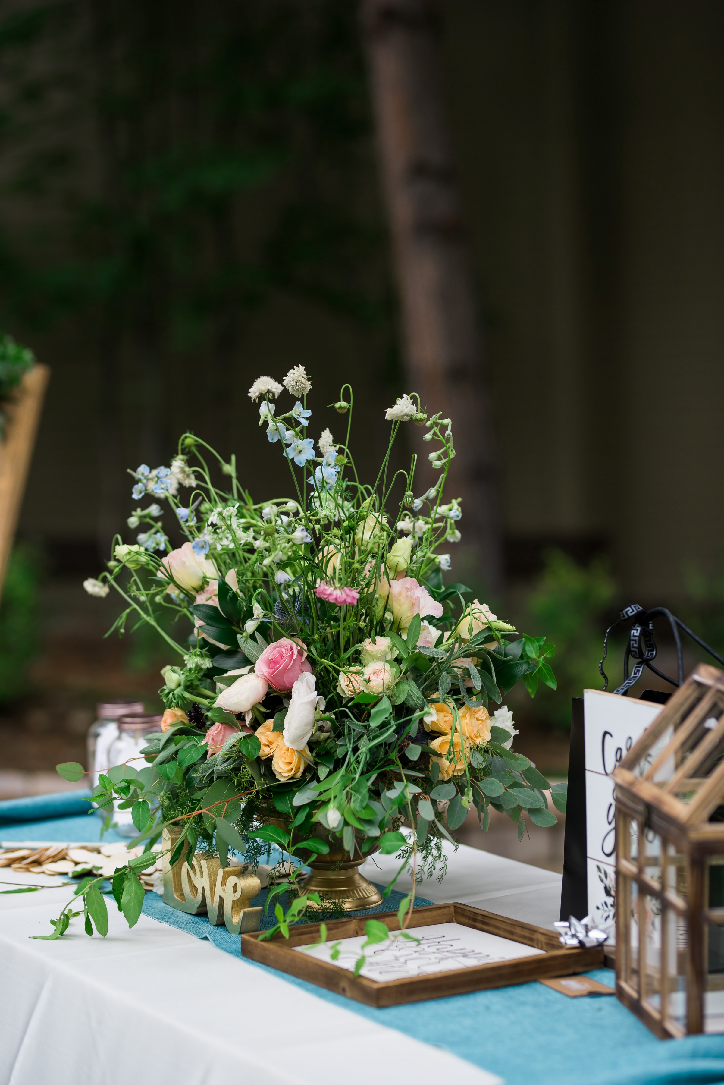 ashleetroy-laurenlindley