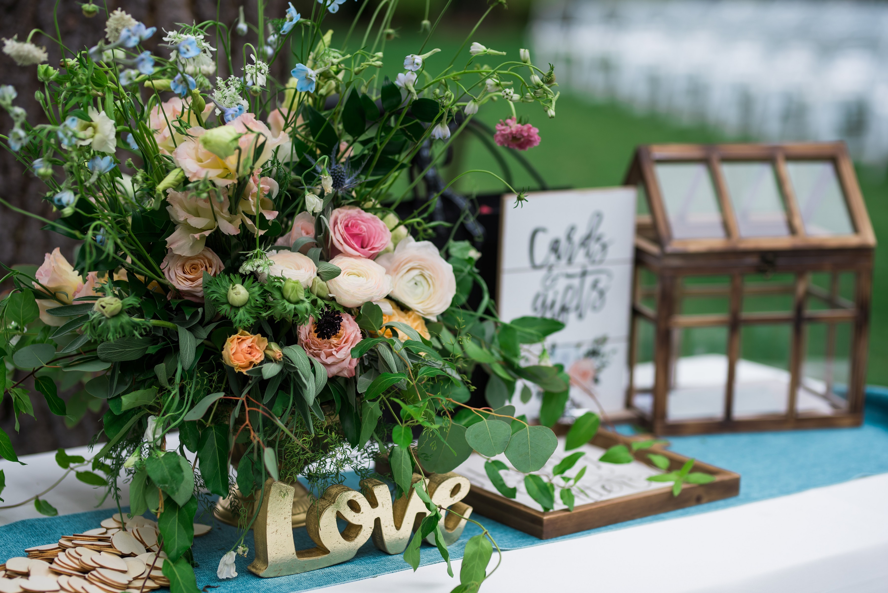 ashleetroy-laurenlindley