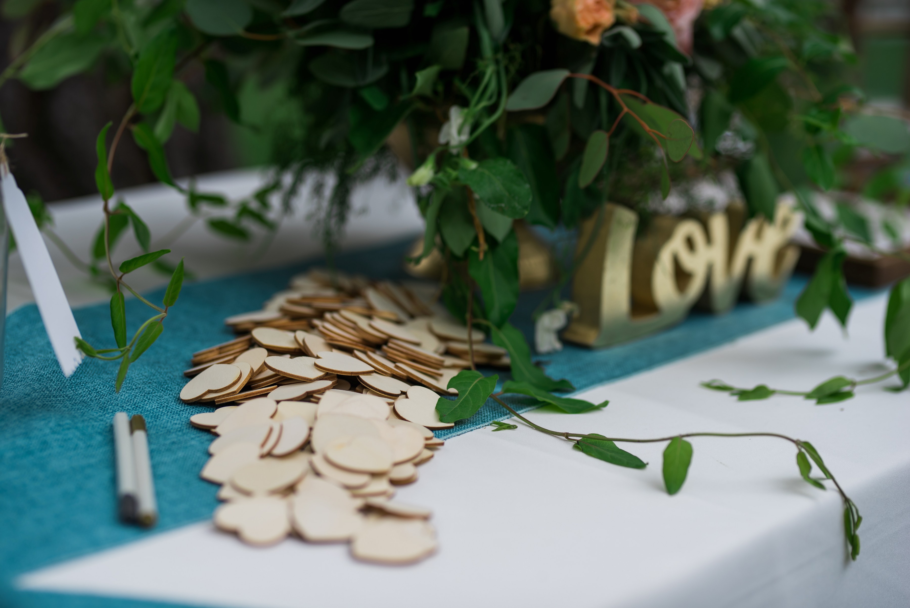 ashleetroy-laurenlindley