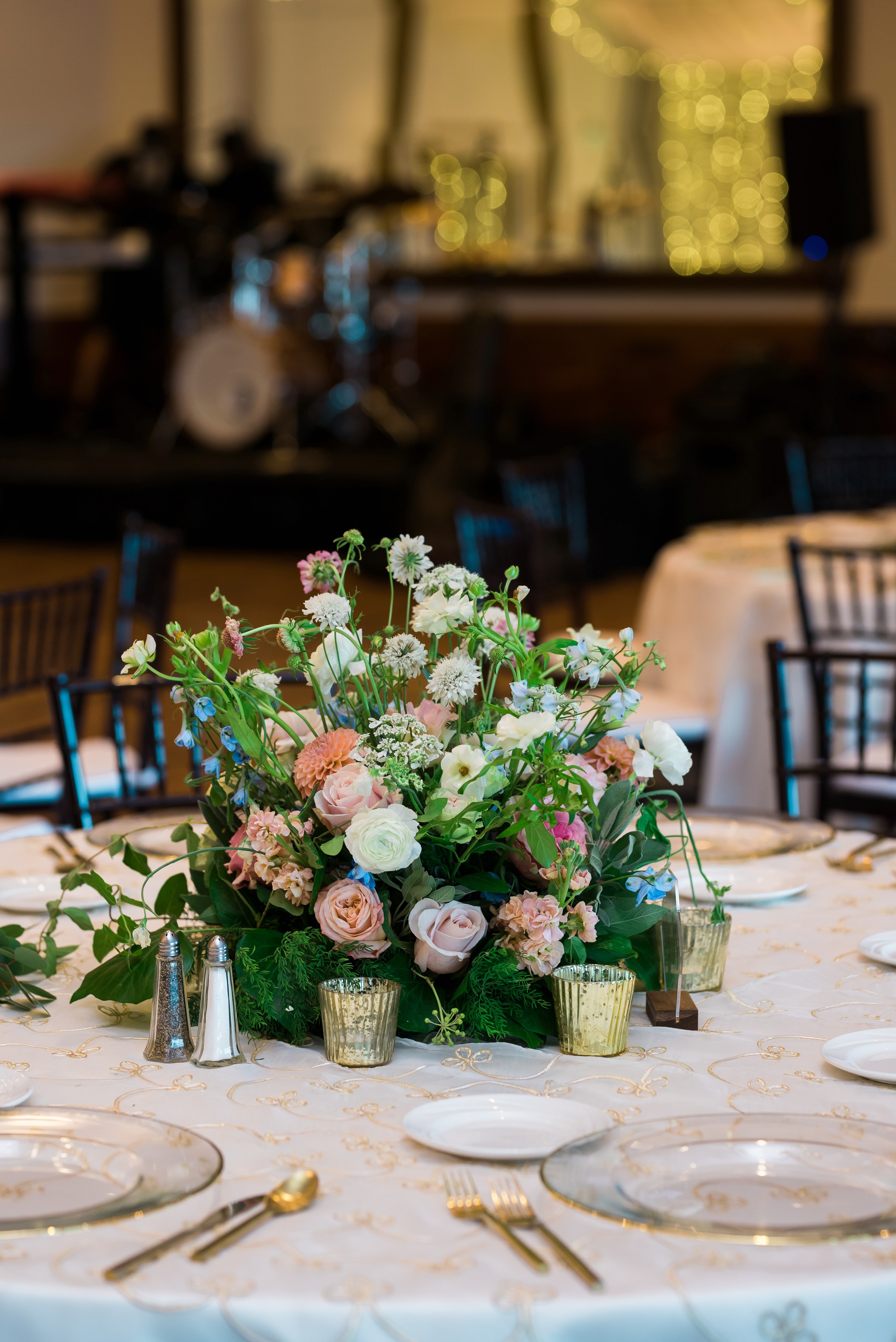 ashleetroy-laurenlindley