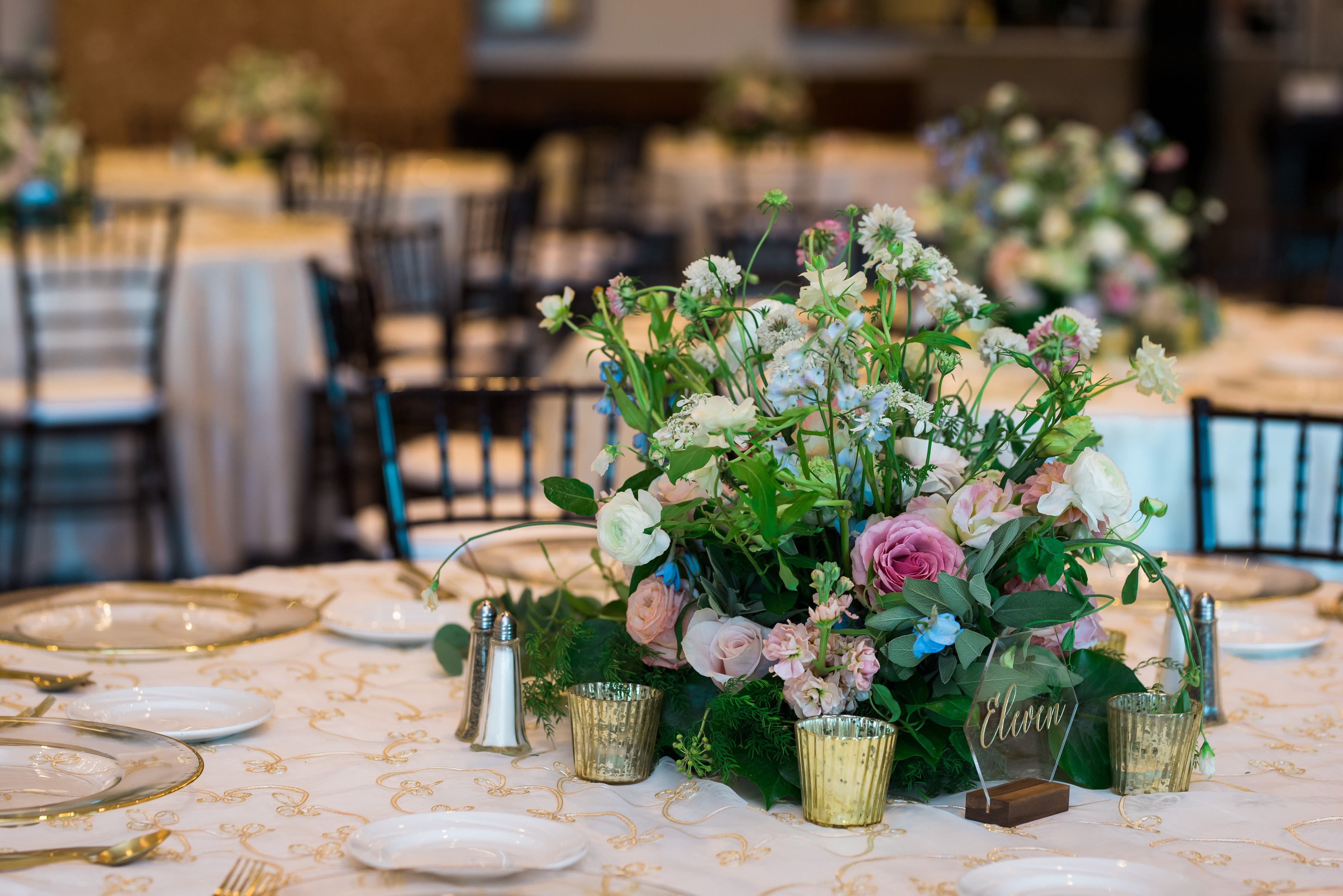 ashleetroy-laurenlindley