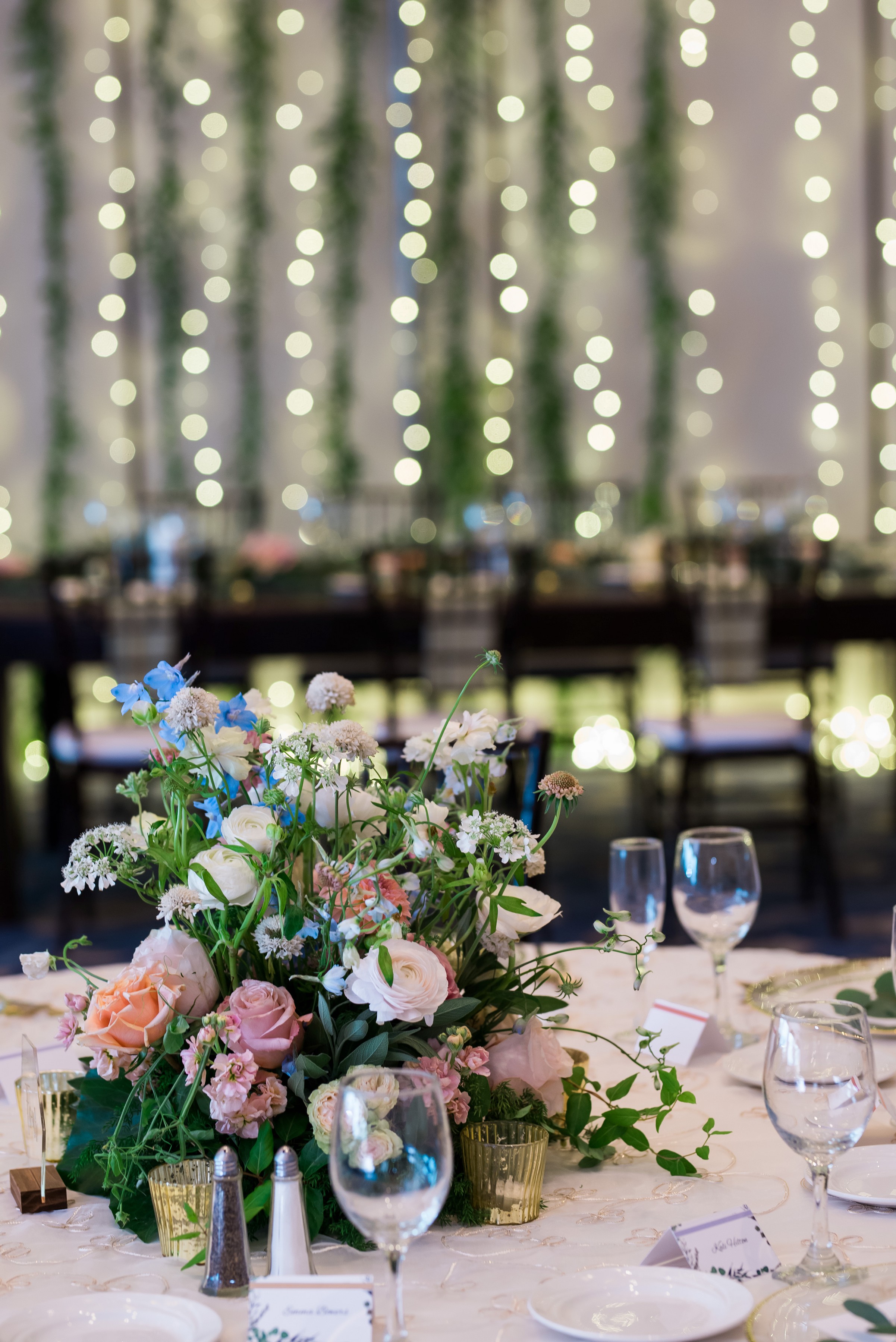 ashleetroy-laurenlindley