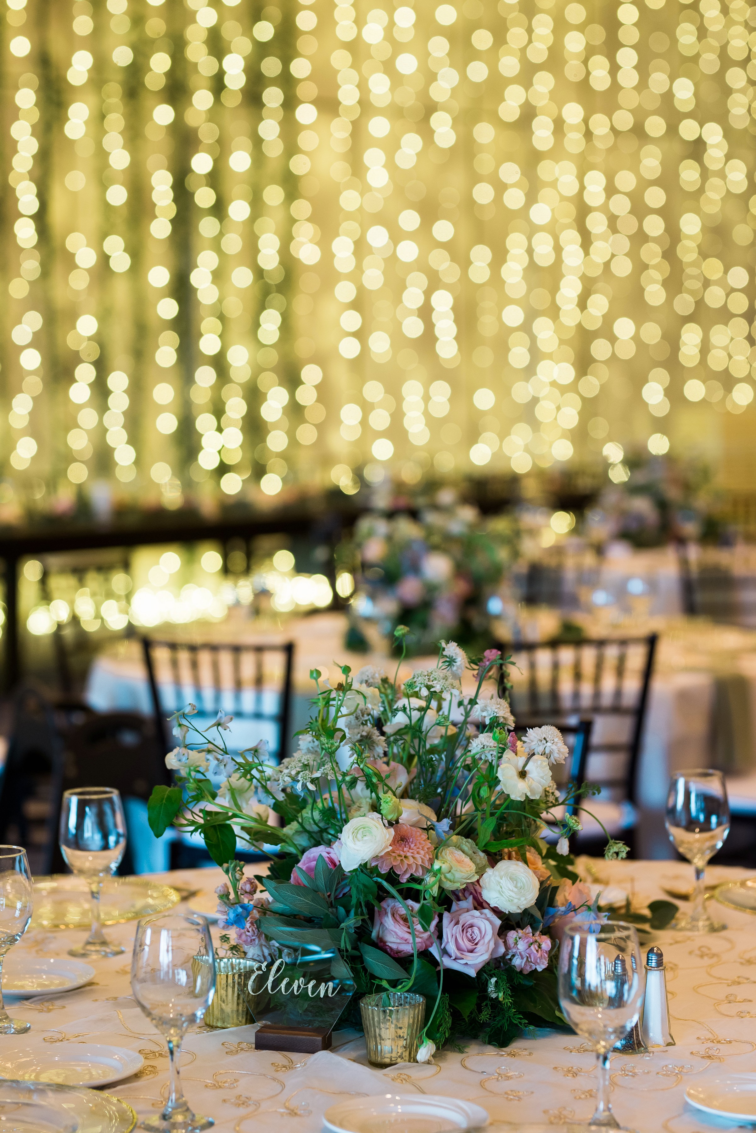 ashleetroy-laurenlindley