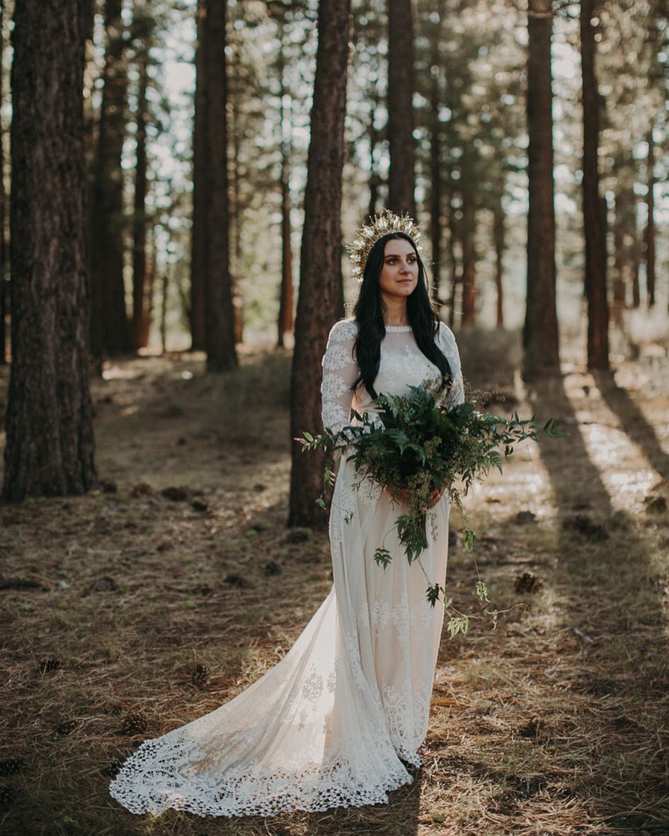 noflowers-fromthedaisies