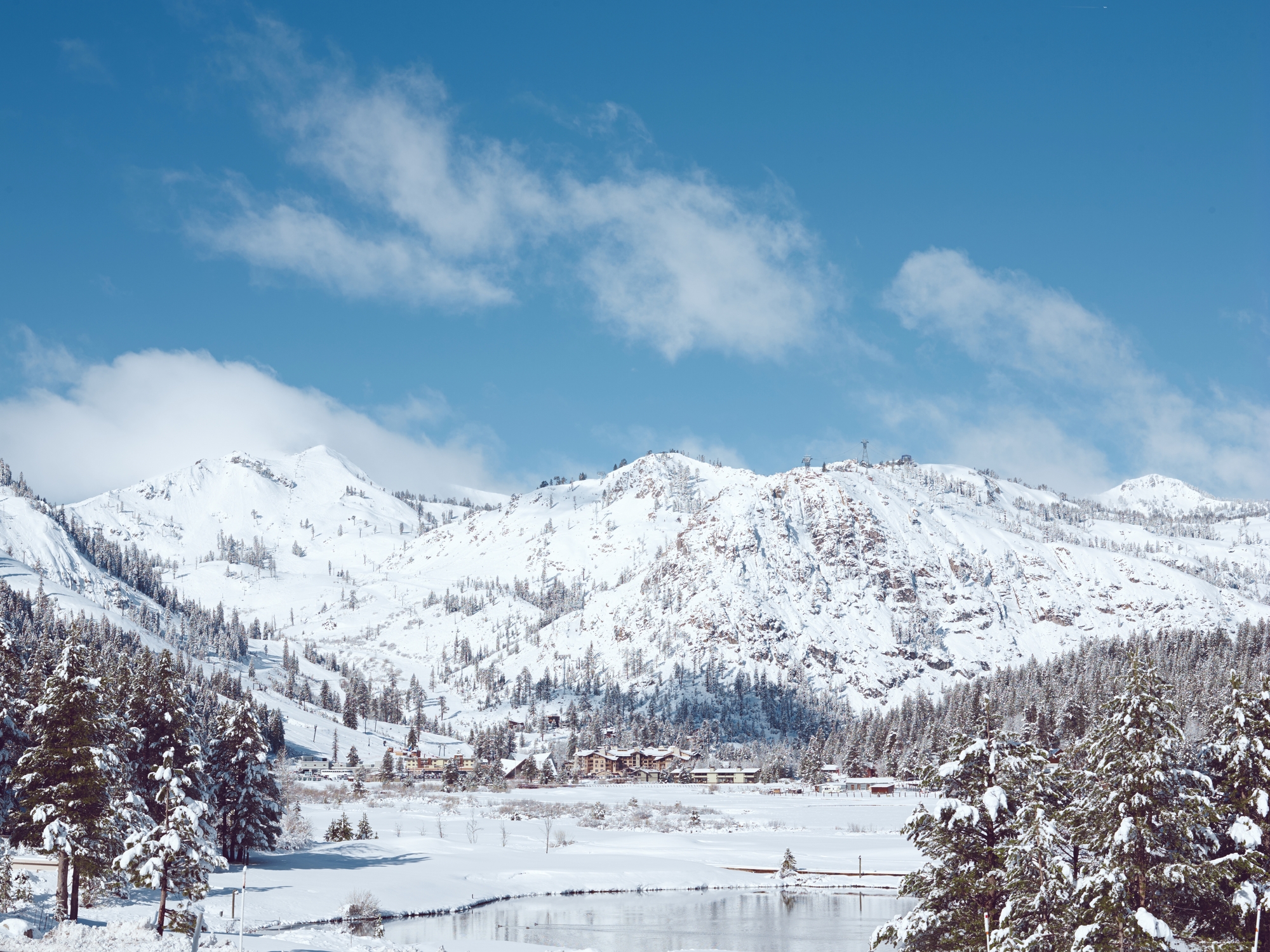 winterwedding-coopercarras