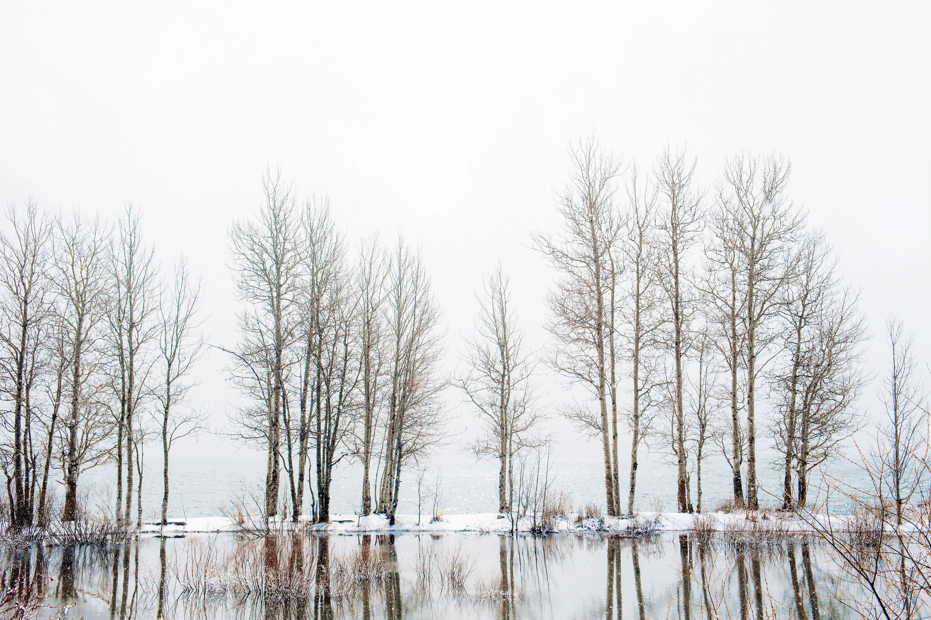 winterwedding-anneciotola