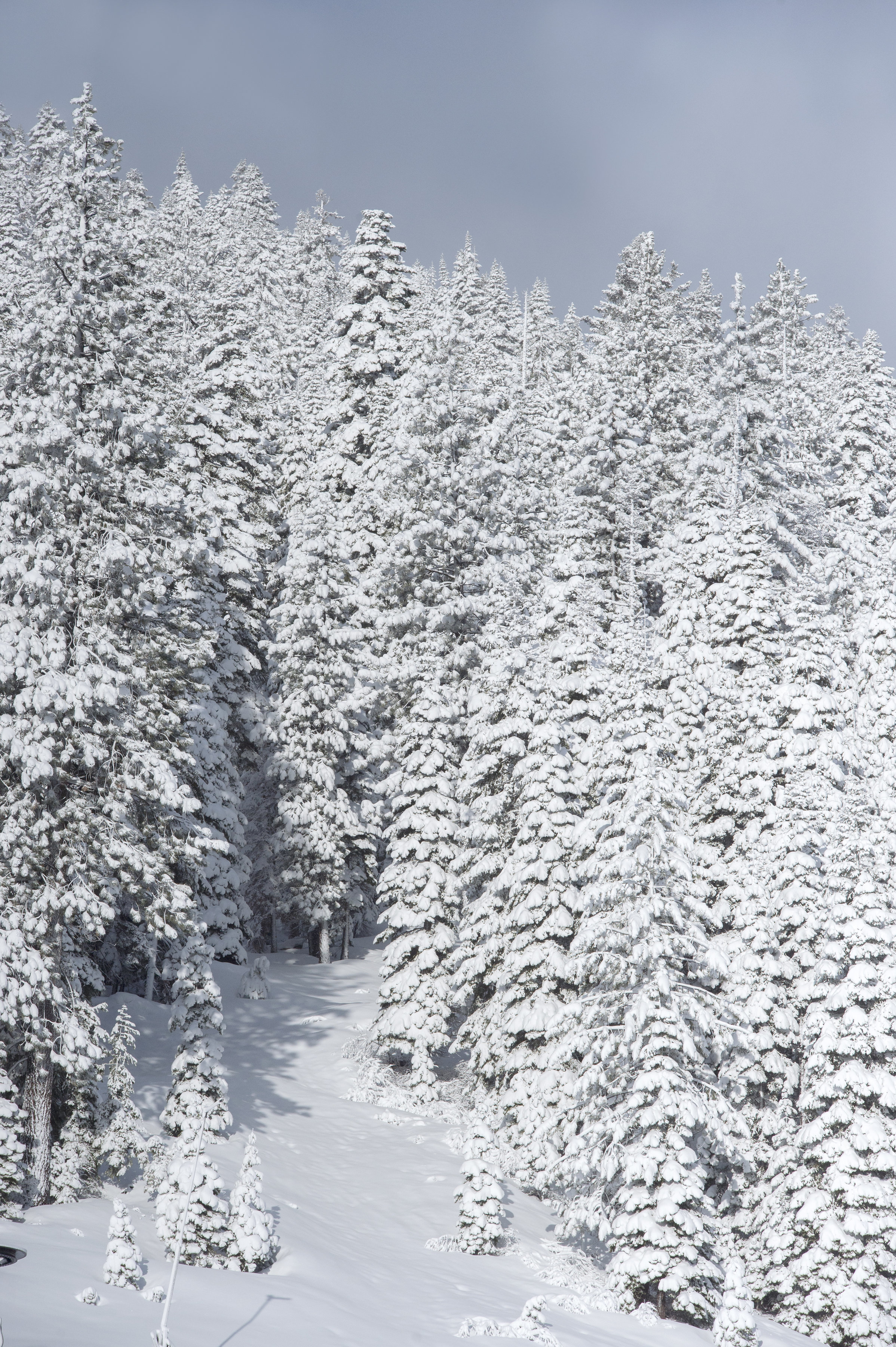 winterwedding-anneciotola
