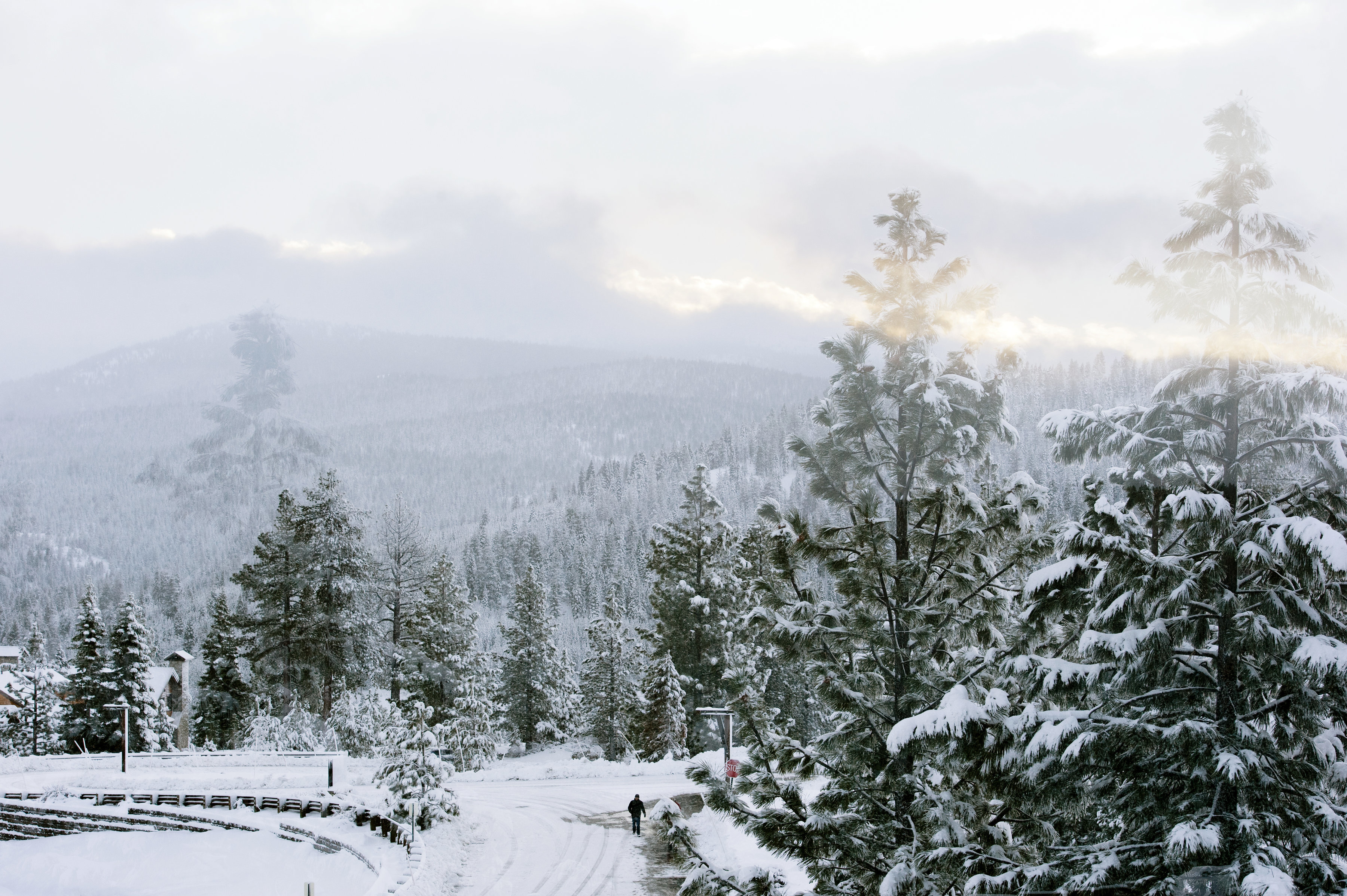 winterwedding-anneciotola